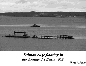 aquaculture cage.jpg (37277 bytes)