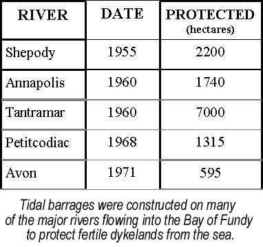 dam table.jpg (29891 bytes)