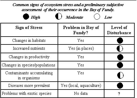 fundy stress table.jpg (37345 bytes)