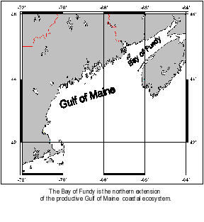 gulf of maine map.jpg (32373 bytes)