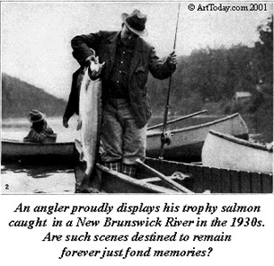 salmon angler.jpg (48736 bytes)