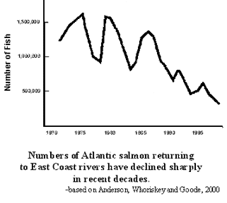 salmon decline.GIF (9569 bytes)