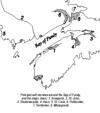 saltmarsh distribution.jpg (19484 bytes)