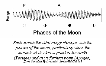 tidal curve.jpg (37562 bytes)