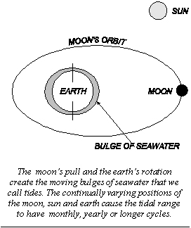 tidal force.jpg (35070 bytes)