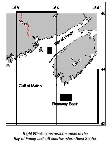 whale reserves.jpg (23462 bytes)