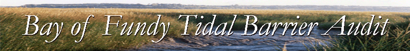 tidal barrier banner