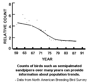 bird survey.gif (4397 bytes)