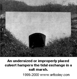 culvert.jpg (17910 bytes)