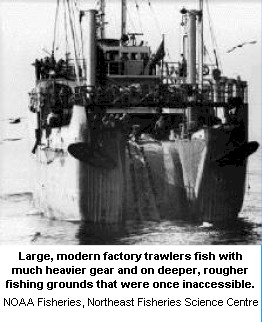 factory trawler.jpg (34972 bytes)