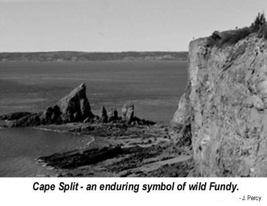 fs21 cape split.jpg (59775 bytes)